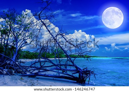 Beach at night with a full moon creating reflections on the ocean and a dead tree trunk near the water