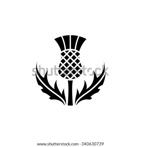 Thistle - floral emblem of Scotland, app symbol, design element, flat design illustration, vector