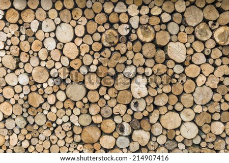 A pile of cut tree logs - background