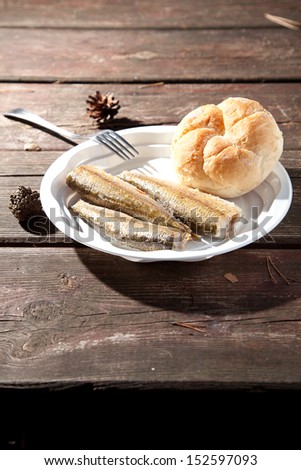 Fried fish on a plastic plate on a bench in the woods