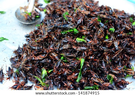 Fried crickets at market in thailand