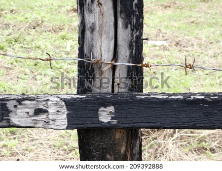 Fence thorn wire on wood stud