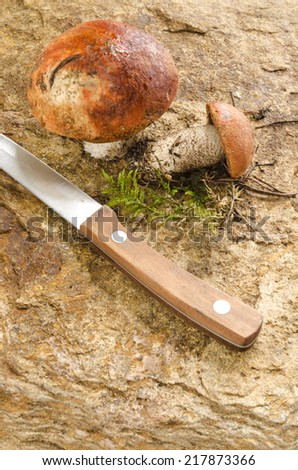 Wild mushrooms and knife on stone.  From series Natural organic food