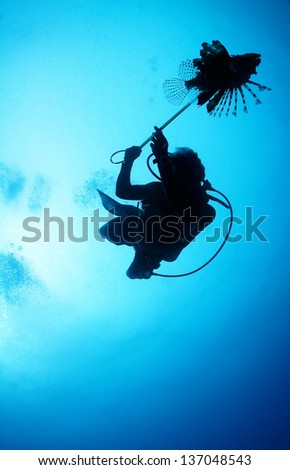 Silhouette of a dive guide spearing a lion fish - Riviera Maya, Mexico
