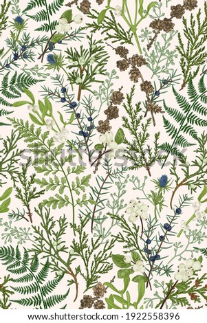 Forest seamless pattern. Floral background. Greens. Vector botanical illustration. Thuja, juniper branches, ferns, mistletoe and snowberry berries, eucalyptus seeds. Vertical.