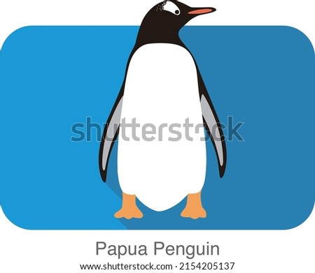 Papua penguin, Gentoo penguin, standing, vector illustration