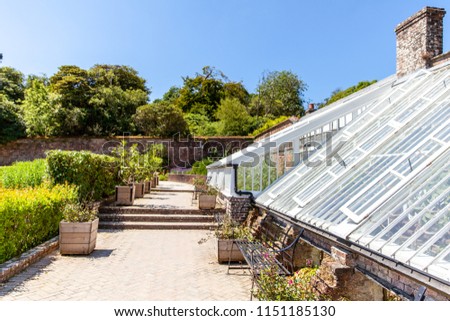 Image, Stock Photo greenhouse Heligan