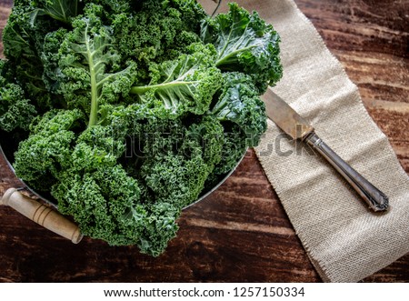 Similar – Image, Stock Photo Kale in basket View from above