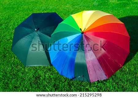 Rainbow and black umbrellas on the green grass
