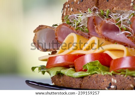 Deli meat sandwich with ham and cheese