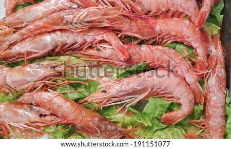 whole, fresh shrimps background