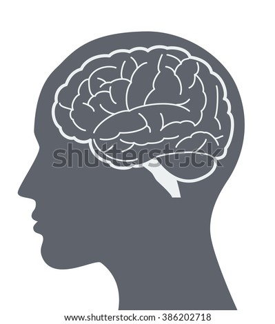 Vector brain silhouette illustration with woman face profile.