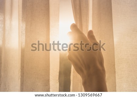 Similar – Image, Stock Photo Morning sun shines through the forest