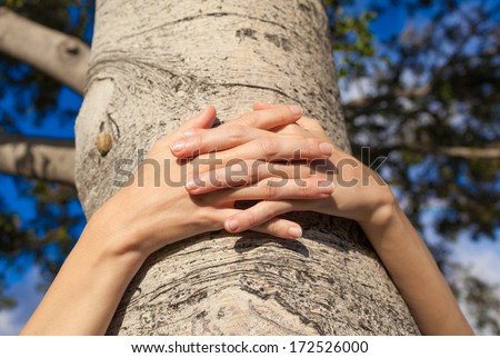 Tree hugging. Close-up of hands hugging tree