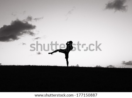 Man practicing martial arts outdoor.