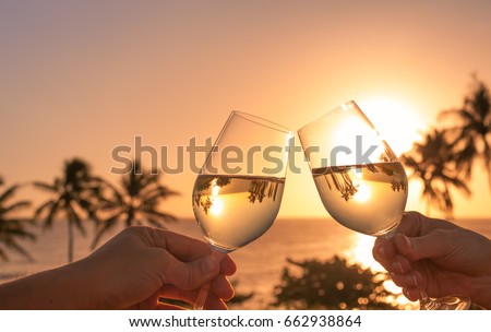 Similar – Image, Stock Photo Couple toasting with glasses of champagne in park