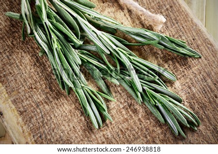 sprigs of rosemary on a wooden board closeup. horizontal format. low angle view