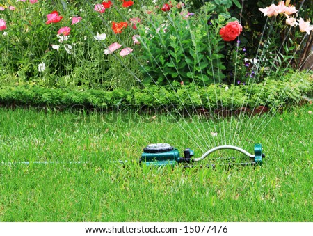 Similar – Image, Stock Photo Oscillation Garden