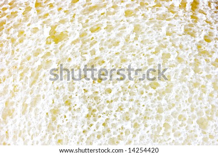 Abstract macro sandwich for food textured background