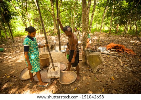 BERDUT, MALAYSIA - APR 8: Unidentified people Orang Asli thresh rice to remove chaff on Apr 8, 2013 in Berdut, Malaysia. More than 76% of all Orang Asli live below the poverty line.