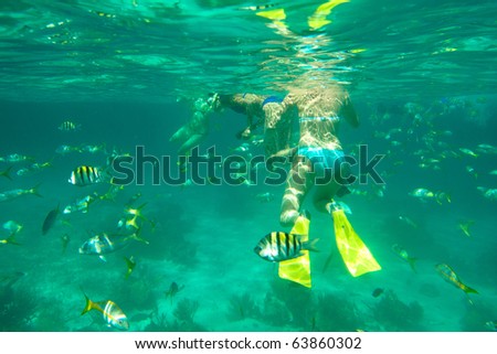 snorkeling (diving)