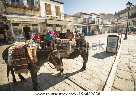 HYDRA, GREECE - MAY 7, 2014:Donkey at the Greek island, Hydra. They are the only means of transport on the island, no cars are allowed.