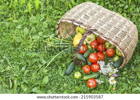 On the grass basket with vegetables. Cucumbers, tomatoes, peppers and apples.