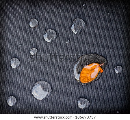 leaf in Water droplets on  is fiber Waterproof fabric.