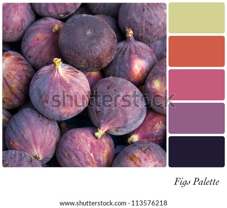 Fresh Fig Background Colour Palette With Complimentary Swatches. Stock ...