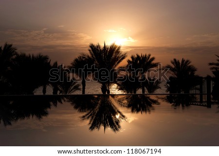 The sun rising over infinity pool, palm trees and Red Sea, Sharm el Sheikh, Egypt