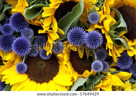 A background of allium and sunflowers on a market stall