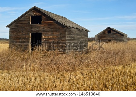 Two old wooden granaries in fall with dry weeds and grass in the foreground and a harvested field in the background