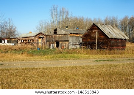 Old abandoned farm buildings in fall.  a group of small sheds near a farm access road