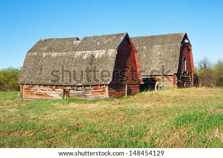 Two abandoned  old barns in a grassy field in spring