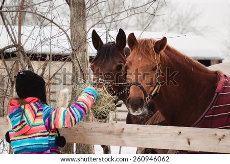 Beautiful girl feeding her horses at ranch.