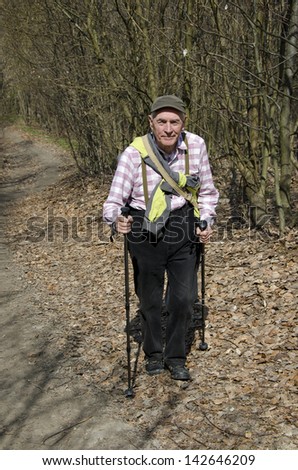 The old man nordic walking in the spring beech forest.