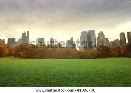 view of new york buildings from central park