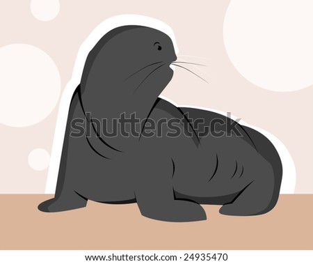 walrus in colour background	