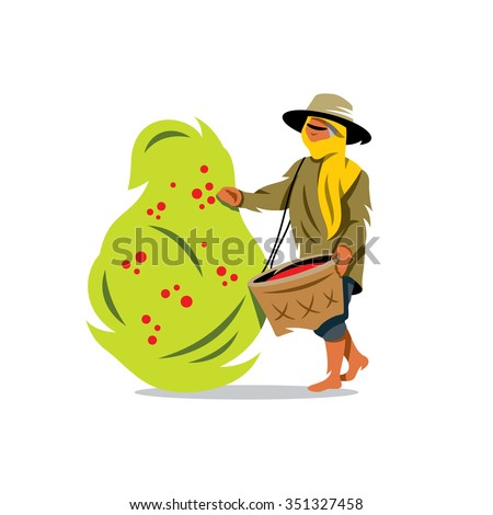 Vector Coffee Picker Cartoon Illustration. Woman with a Basket gather Coffee Beans from the bush Isolated on a White Background. Branding Identity Corporate Logo