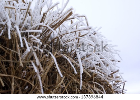 Closeup of thatched roof with snow