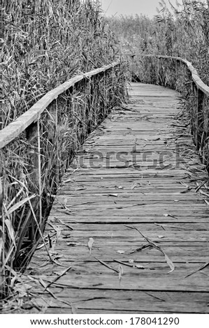 Path covered by wood