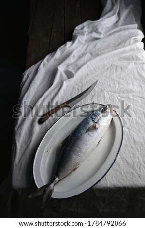 Similar – Image, Stock Photo Fish fin on plate Plate