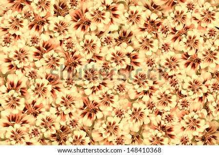 Texture from the flowers of, flowers scattered in disarray at the forefront and creates background texture