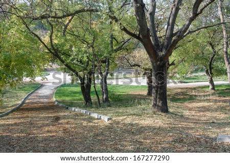 Autumn landscape in the park area. Alley strewn with yellow leaves, autumn weather, yellowed leaves, sunny weather, white clouds