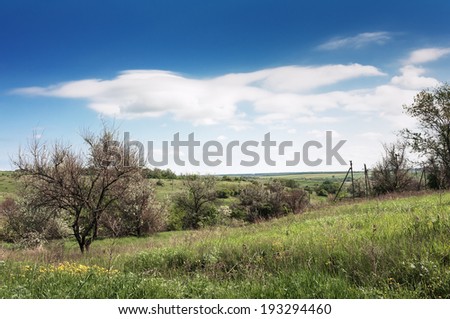 Steppe landscape with wild vegetation on a background of blue sky with clouds
