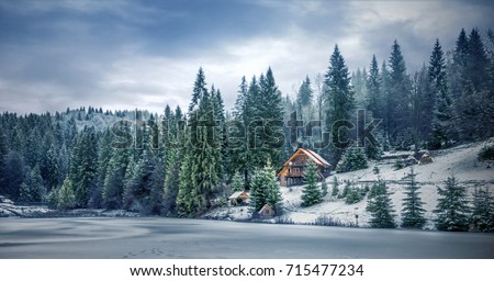 Similar – Image, Stock Photo hoarfrost at the lake