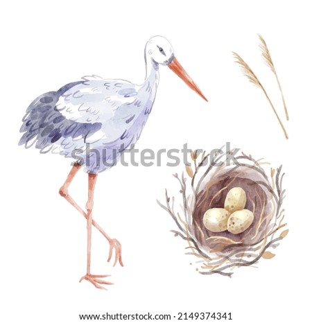 Similar – Image, Stock Photo Three storks Storks three