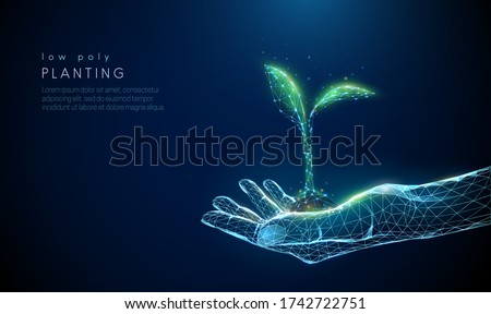 Abstract giving hand with young plant in soil. Low poly style design. Blue geometric background. Wireframe light connection structure. Modern 3d graphic concept. Isolated vector illustration.