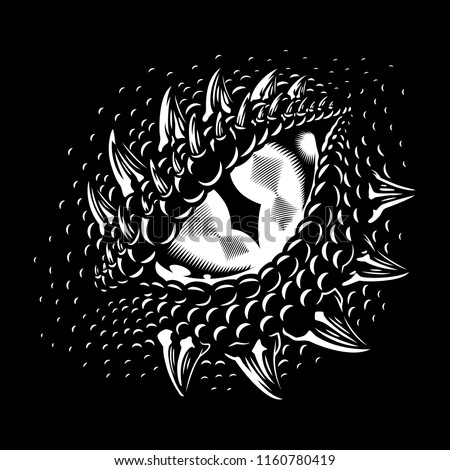 Monochrome dragon eye. Concept image. Vector illustration