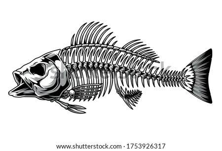 Bass fish skeleton monochrome concept in vintage style isolated vector illustration